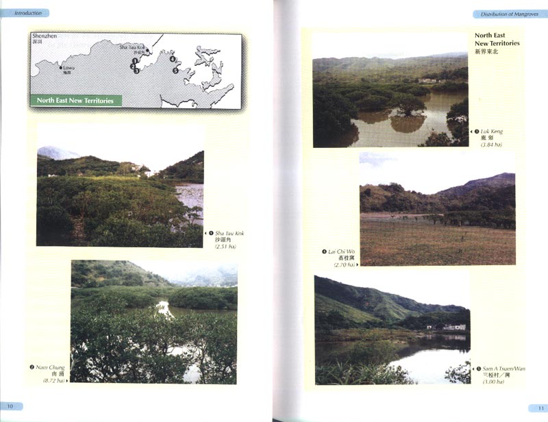Hong Kong Mangroves - aus dem Buch